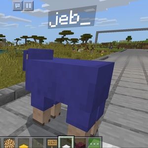 Meet your Posher, Raelynn